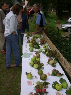 Apfelsorten im �berblick
